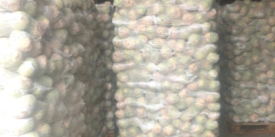 Olyan cégeket keresünk, akik hajlandóak ügynökként eljárni fehér káposzta