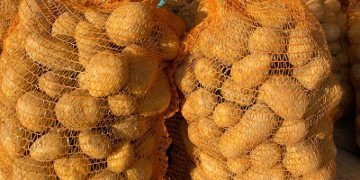 Ich werde Kartoffeln aus meiner eigenen Farm verkaufen.