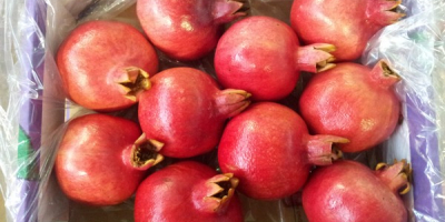 Wholesale Fresh Pomegranates New Season, Buy Wholesale Fresh Pomegranates