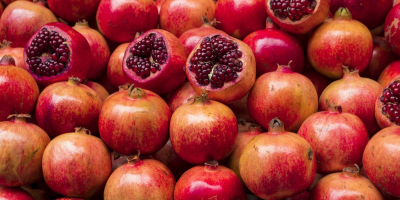 Frische Granatäpfel im Großhandel Neue Saison, Frische Granatäpfel im