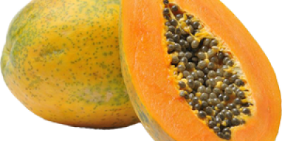 Wir liefern qualitativ hochwertige frische Papaya-Früchte von äthiopischen Bauern
