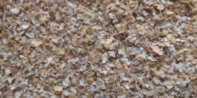 Vindem cereale: porumb, orz, floarea soarelui, in saci big