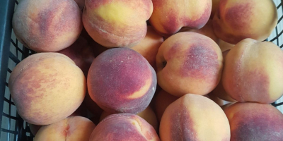 I will sell 3 tons of Greek peaches, 4-5