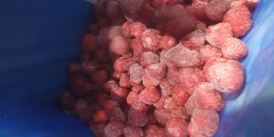 Verkaufe Erdbeere ZENGA ZENGANA Verpackung 1/11 in Plastiktüten in