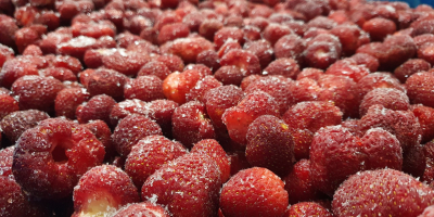 Verkaufe Erdbeere ZENGA ZENGANA Verpackung 1/11 in Plastiktüten in