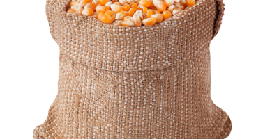 MAIZE is widely classified as a whole grain food,