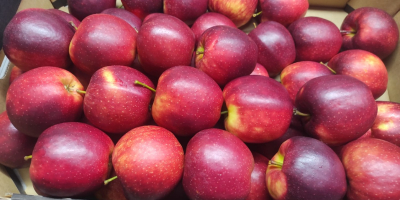 We offer different varieties of apples. We can offer