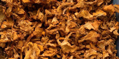 I´m searching for a dried chantarelles. Quantity: 1000-1500kg Quality: