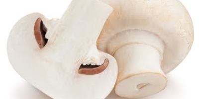 I will sell wholesale quantities of white mushrooms. Year-round