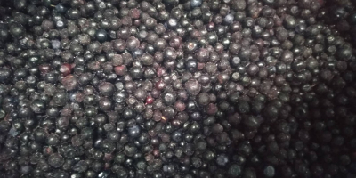 I will sell a frozen forest berry from Ukraine.