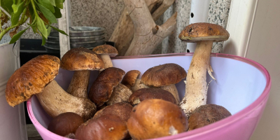 Fresh porcini mushrooms. Fresh if you want, otherwise frozen.
