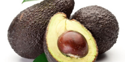 Exportăm în principal avocado, cum ar fi Hass și
