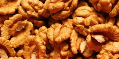 Venderò noci fresche sgusciate da agricoltura biologica