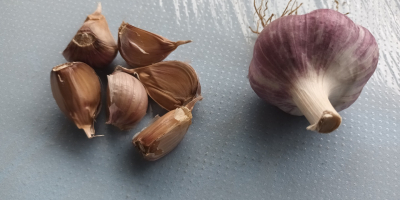 Hallo, ich verkaufe trockenen Winterknoblauch der Sorte Arkus. Kopfdurchmesser