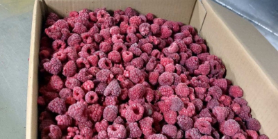 I will sell raspberries from western Ukraine. 20,100 kg