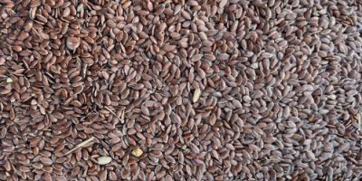 I will sell brown flaxseed. Origin Kazakhstan, big bag