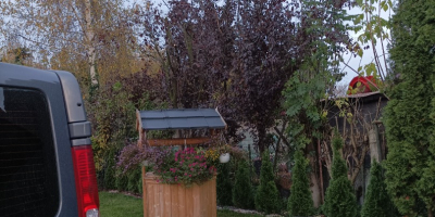 Salve, vendo noci della stagione 2022, ho 300 kg,