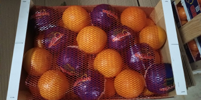 Offro arance direttamente dalla soleggiata Spagna. La frutta è