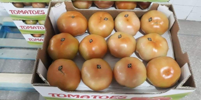 Pomodori Dal Marocco