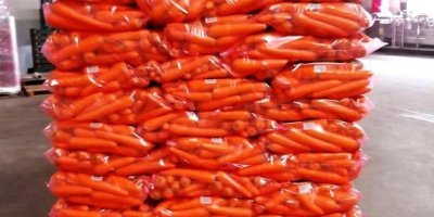 High quality carrots, delivery to all over the world
