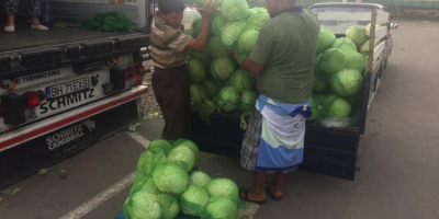 I am selling pickled cabbage or chopped cabbage. 0040733877207