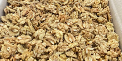 I will sell 1000 kg of shelled walnuts. Bright,