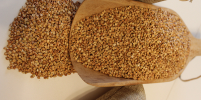 Certified organic buckwheat groats - lightly roasted. From our