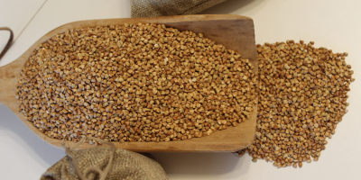 Certified organic buckwheat groats - lightly roasted. From our