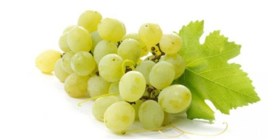 Свежо и вкусно грозде (зелено)