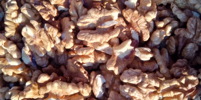 I will sell hand-shelled walnuts wholesale, light mix (Polish