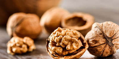 We are a direct exporter of walnuts from Ukraine.