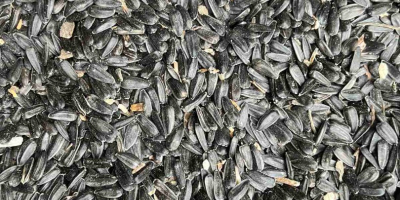 SUNFLOWER SEEDS Quality: Oil content: 49.7% Moisture: up to