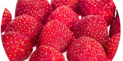 I will sell frozen strawberries. Large quantities. Strawberry imported