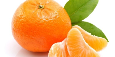 Mandarine von bester Qualität, es gibt mehrere Sorten auf