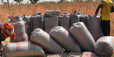 31 Bags of dried maize available ( 100kg/bag). Price