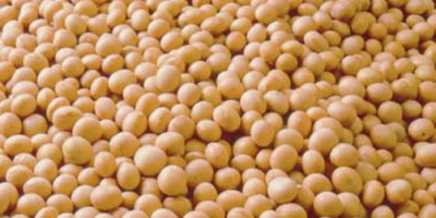 ГМО соја за извоз из Украјине. ФЦА/ДАП/ЦИФ услови испоруке.