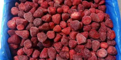 Zu verkaufen gefrorene Erdbeere Kaliber 26-35mm. Verpackt in 10