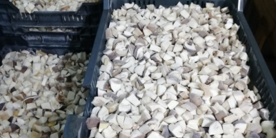 Предлагать вместо около 10 тонн замороженных белых грибов, кубиками