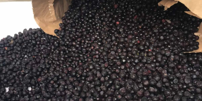 I will sell wild blueberries, the price of peeled