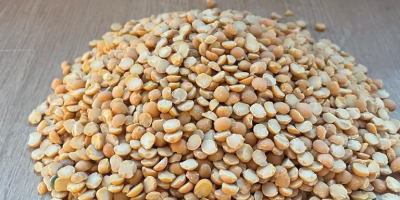 We will sell yellow peas (halves). Food quality, suitable