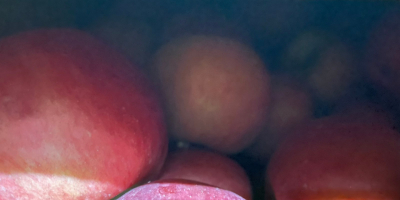 Роиал Аппле Сп. з о. о. продаје квалитетне јабуке