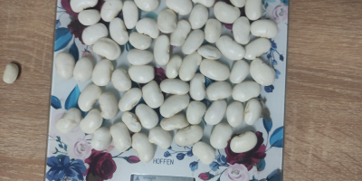 Hello. I am selling white beans in sizes: 100-120/100g,