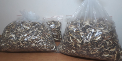 I will sell dried boletes Pick up on site