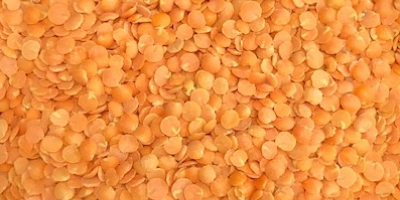 Red lentils (spleat) Origin Canada. The product is very