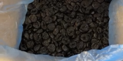 Selling first class of dry prune with and without