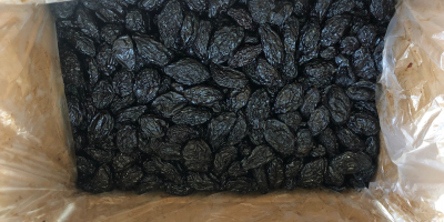 We have good quality Dried Prunes, pitted and unpitted,
