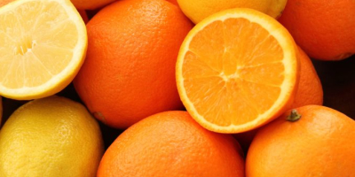 Abbiamo una varietà di tipi: di arance, valencia, nettarine,