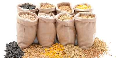 Трговачка компанија нуди на продају соју/кукуруз/сунцокрет, порекло Украјина, жетва