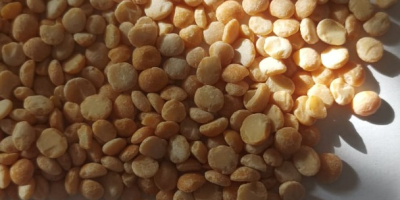Yellow round peas and halves Certificate and laboratory analysis