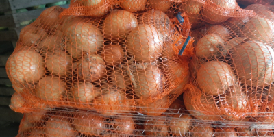 Ich werde Karotten Petersilie Sellerie Kohl Rote Bete verkaufen.